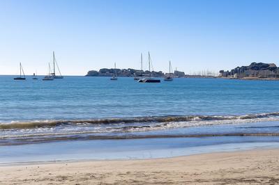 Appartement - 55 m² - 2 pièces