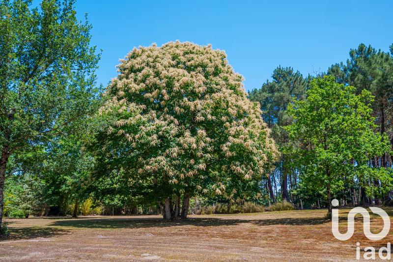 Maison - 182 m² - 9 pièces