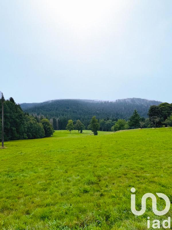 Terrain - 19 171 m²