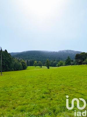 Terrain - 19 171 m²