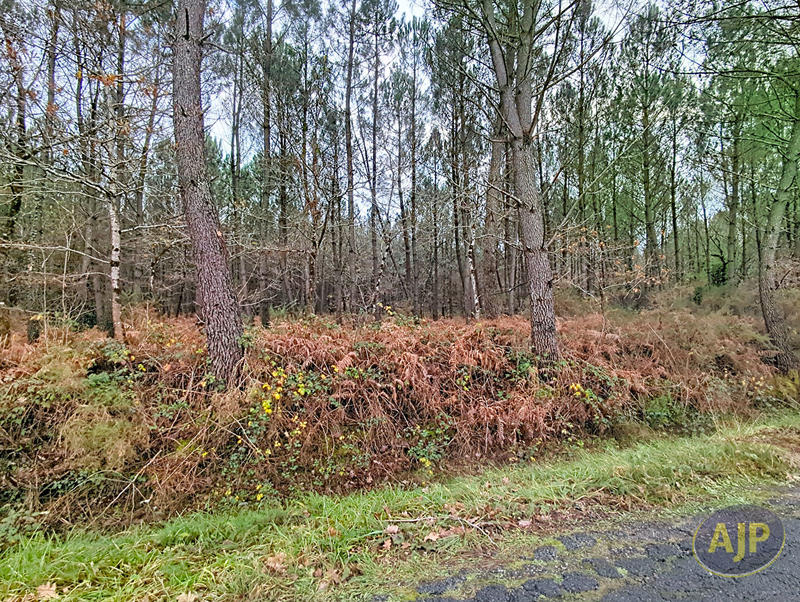 Maison - 104 m² - 6 pièces