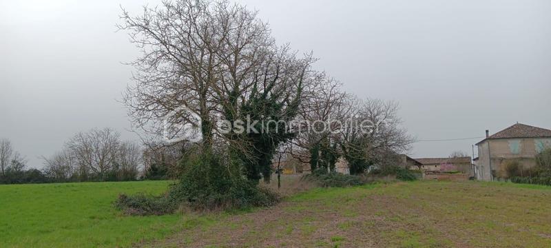 Maison ancienne - 132 m² - 6 pièces