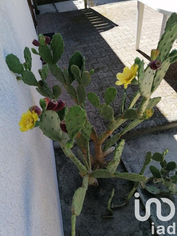 Maison - 116 m² - 8 pièces