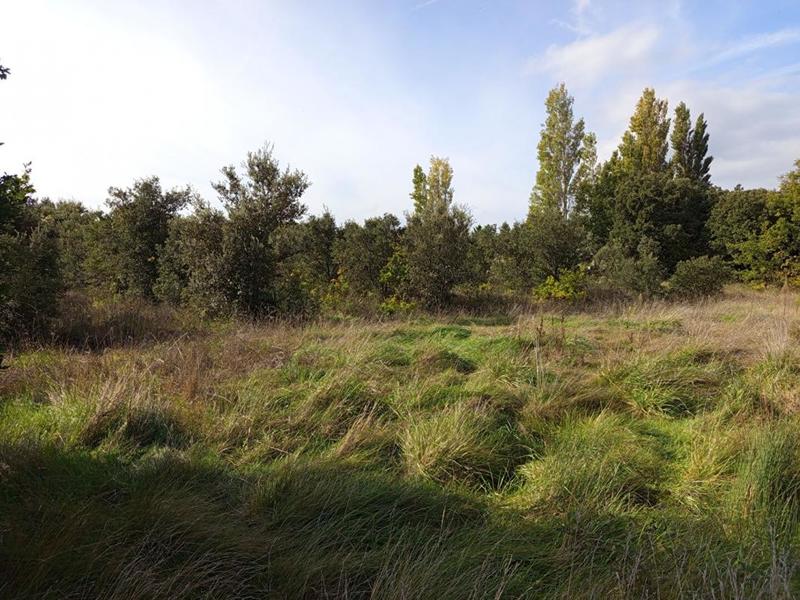 Corps de ferme - 370 m² - 10 pièces