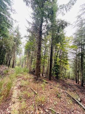 Terrain - 16 280 m²