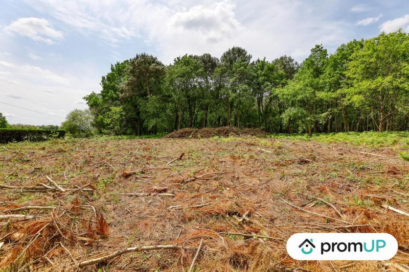 Terrain de loisirs - 4 000 m²