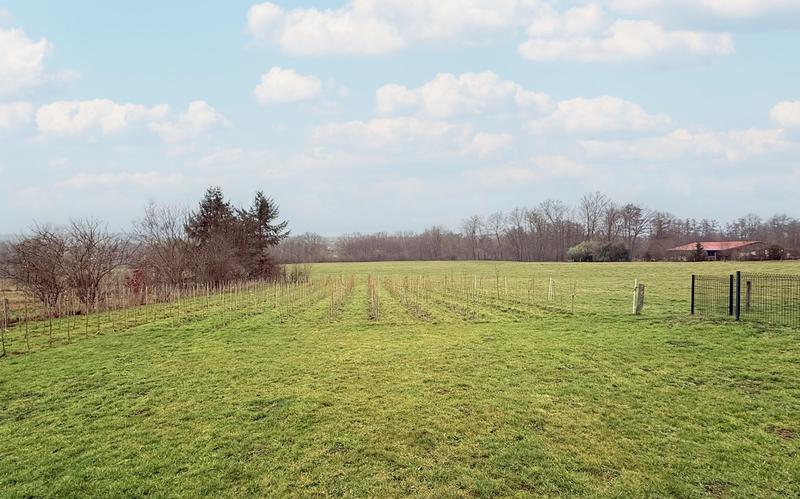 Maison - 190 m² - 7 pièces