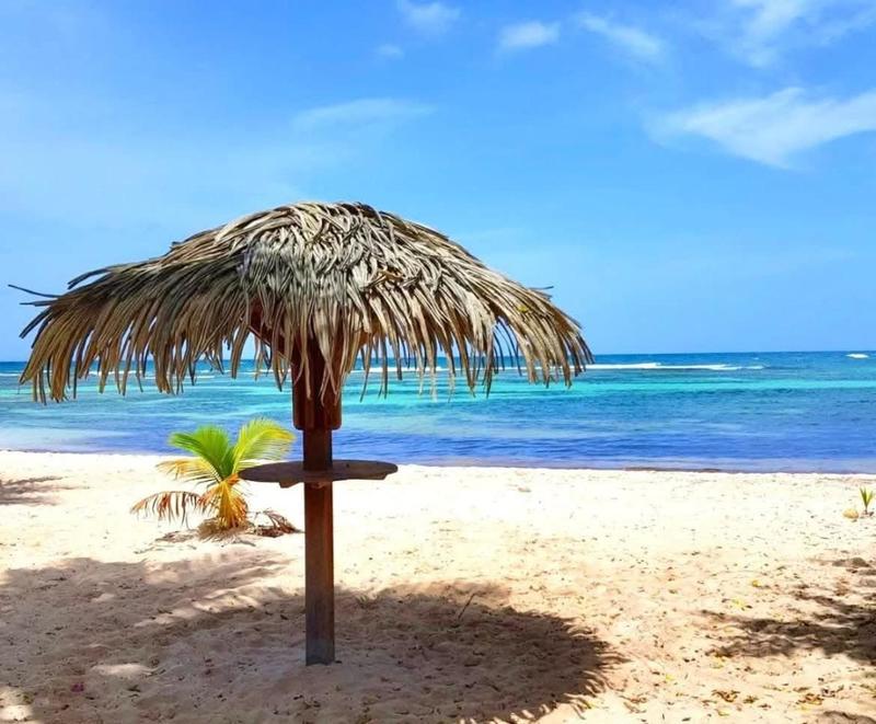 Appartement - 24 m² - 1 pièce