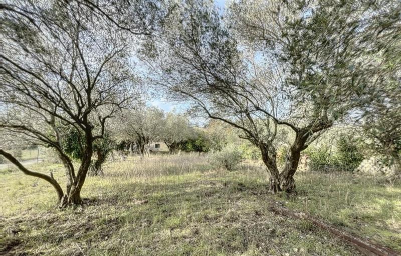 Maison - 136 m² - 5 pièces