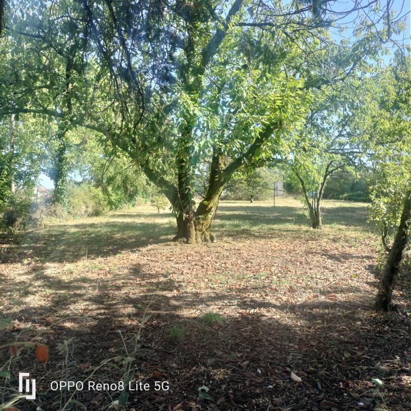 Pavillon - 119 m² - 5 pièces