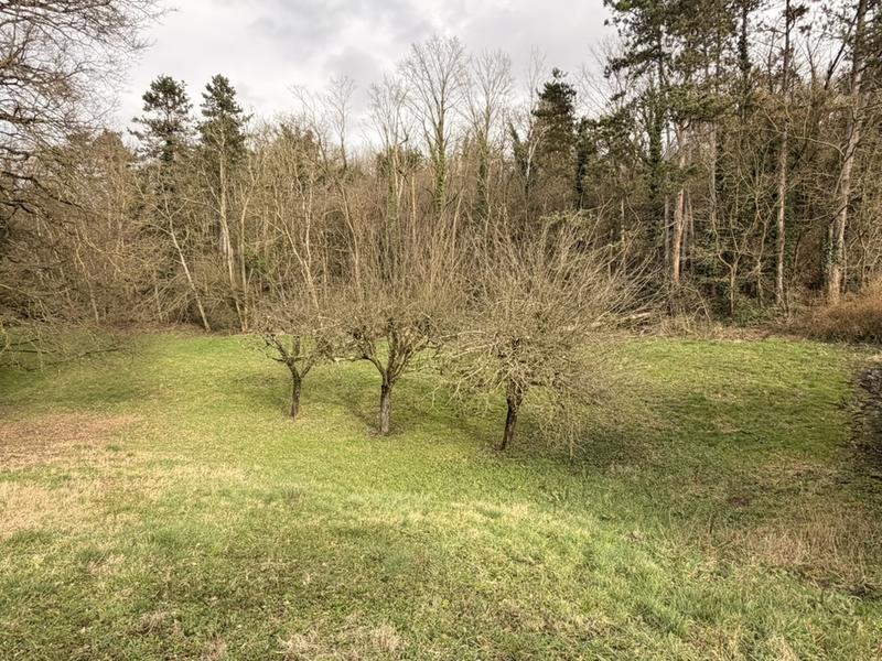 Terrain constructible - 2 523 m²