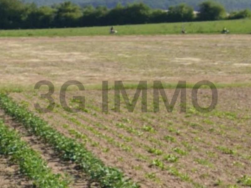 Terrain - 13 307 m²