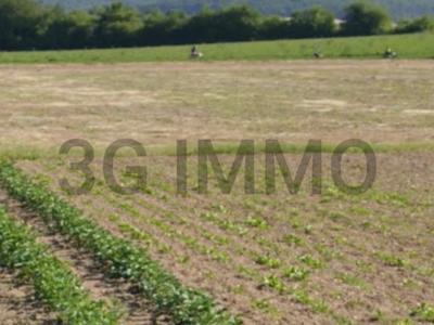 Terrain - 13 307 m²