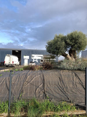 Local d'activités - 404 m²