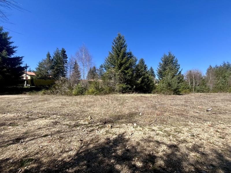 Terrain - 41 056 m²