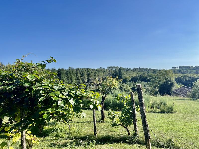 Appartement - 171 m² - 6 pièces