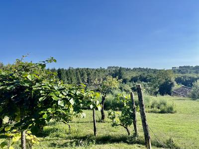 Appartement - 171 m² - 6 pièces