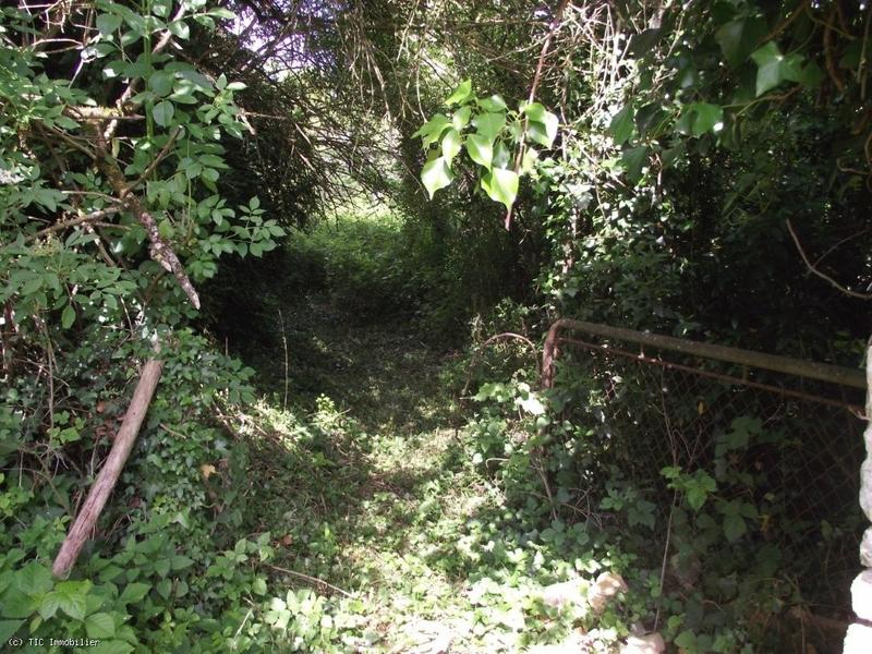 Terrain constructible - 1 271 m²