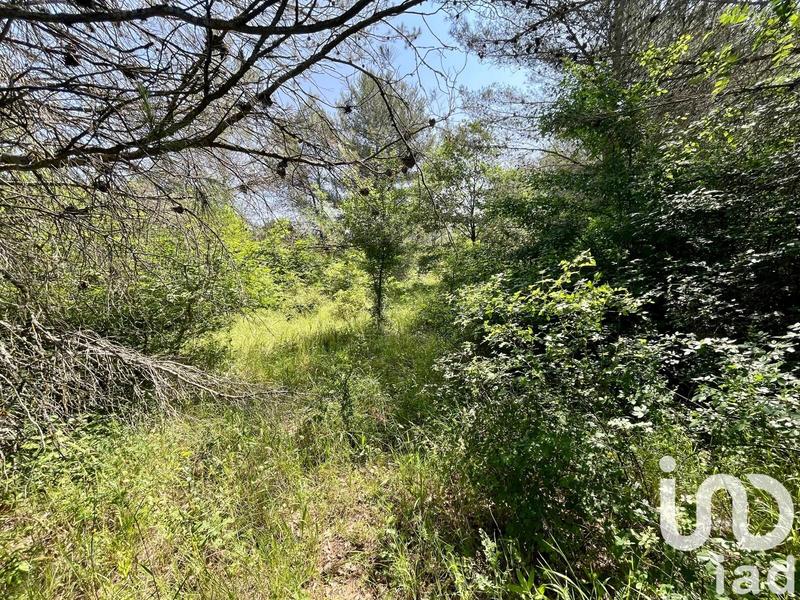 Terrain agricole - 12 527 m²