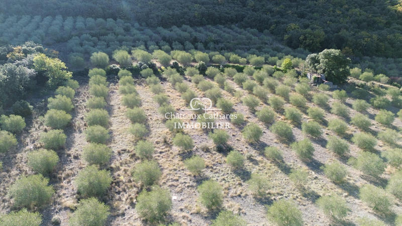 Terrain agricole - 51 314 m²