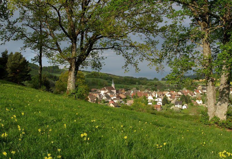 Journée Mémoire et expositions