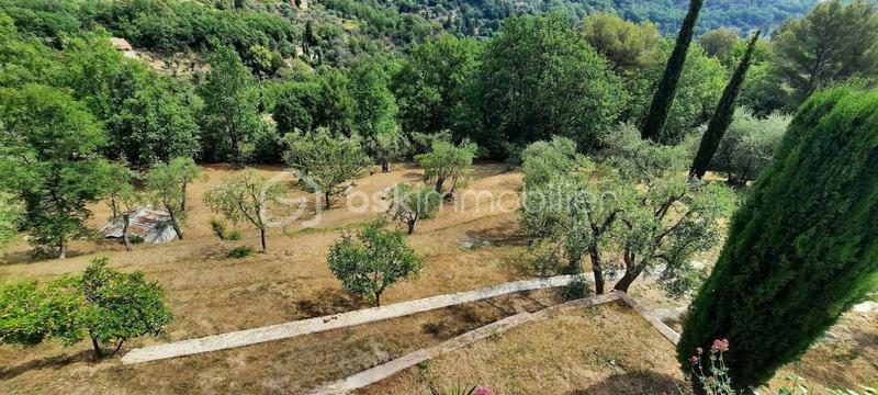 Propriété - 240 m² - 6 pièces