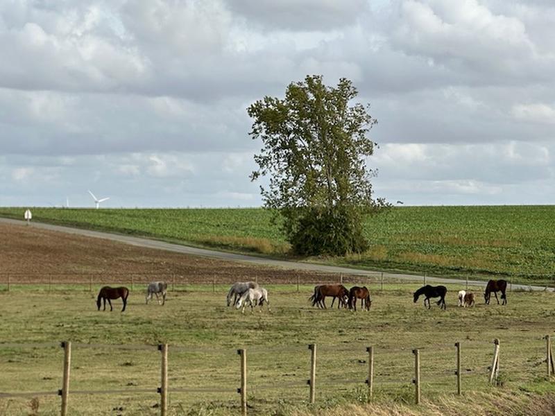 Maison de village - 65 m² - 3 pièces