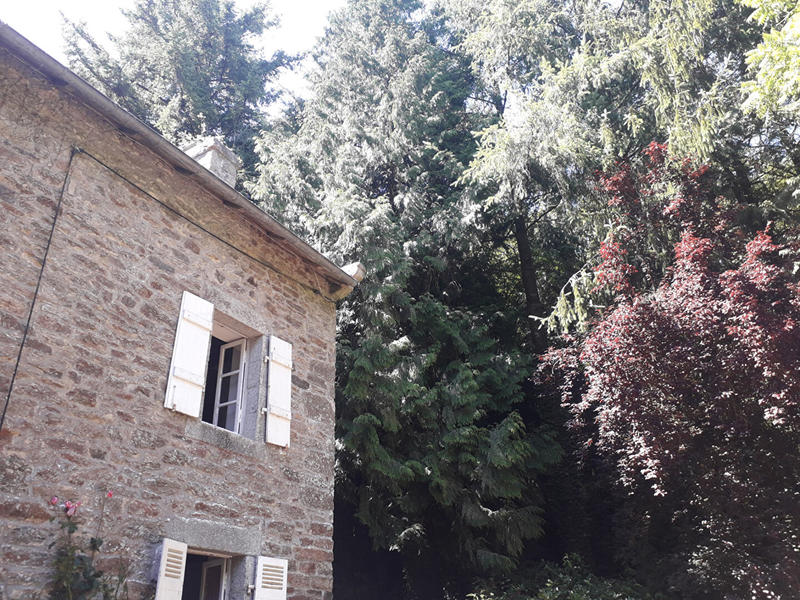 Maison - 281 m² - 9 pièces