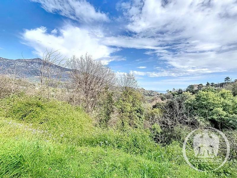 Villa - 300 m² - 8 pièces