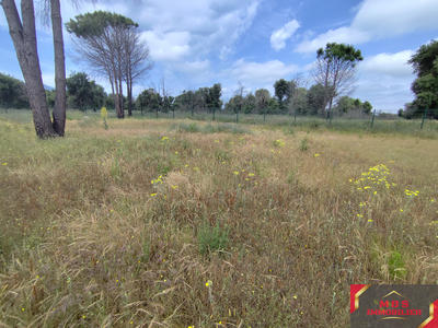 Terrain agricole - 1 450 m²