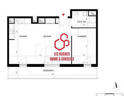 Appartement - 53 m² - 2 pièces