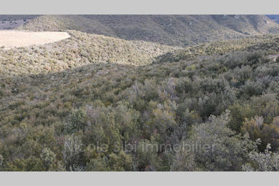 Terrain - 11 396 m²