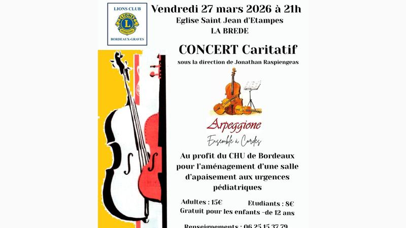 Concert d'Ensemble à cordes