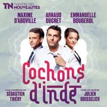 Cochons d'Inde