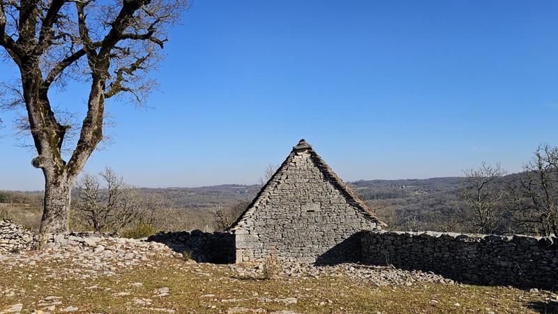 Terrain - 80 524 m²