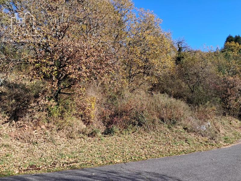 Terrain constructible - 651 m²