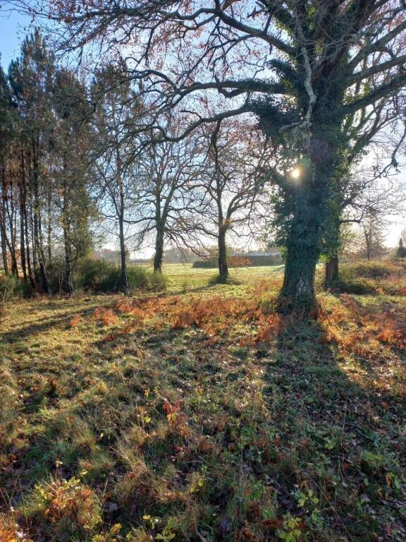 Propriété viticole - 129 m² - 5 pièces