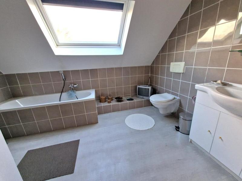 Maison ancienne - 297 m² - 8 pièces