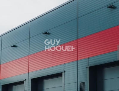 Local d'activité / Entrepôt - 845 m²