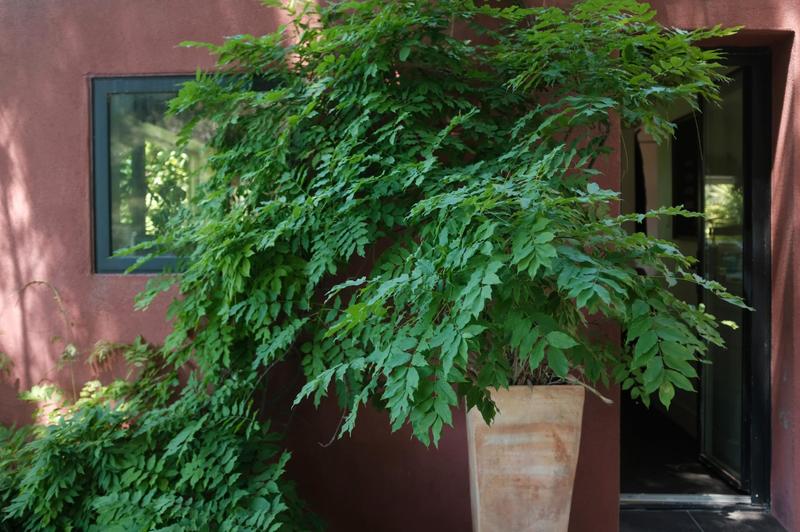 Villa - 165 m² - 7 pièces