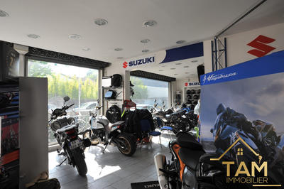 Maison - 335 m² - 10 pièces