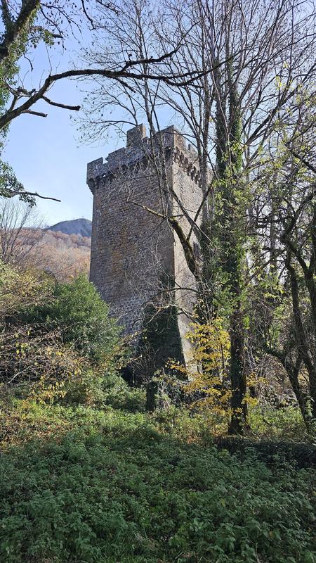 Château - 300 m² - 10 pièces