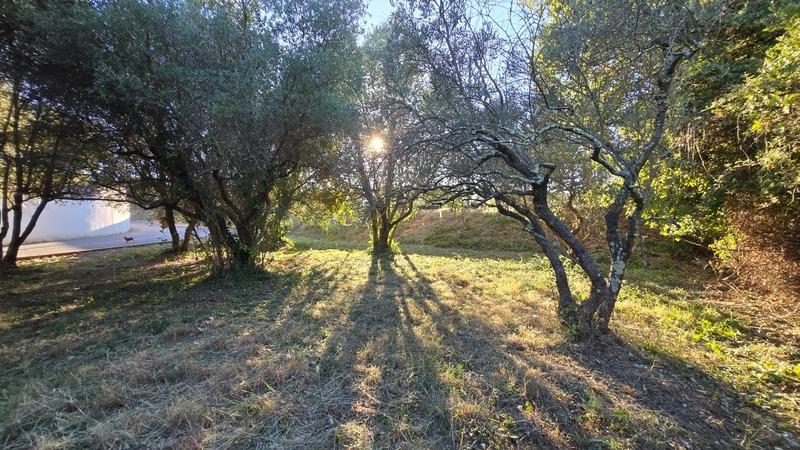 Terrain constructible - 401 m²