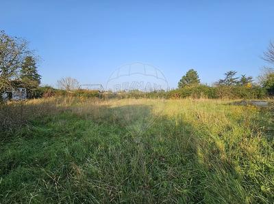 Maison de ville - 168 m² - 5 pièces