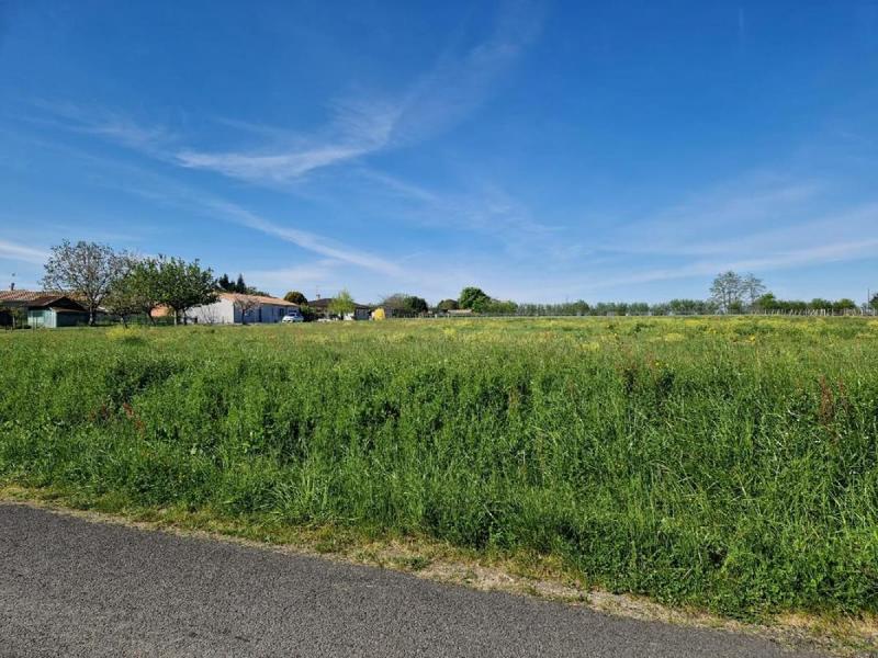 Terrain - 1 388 m²