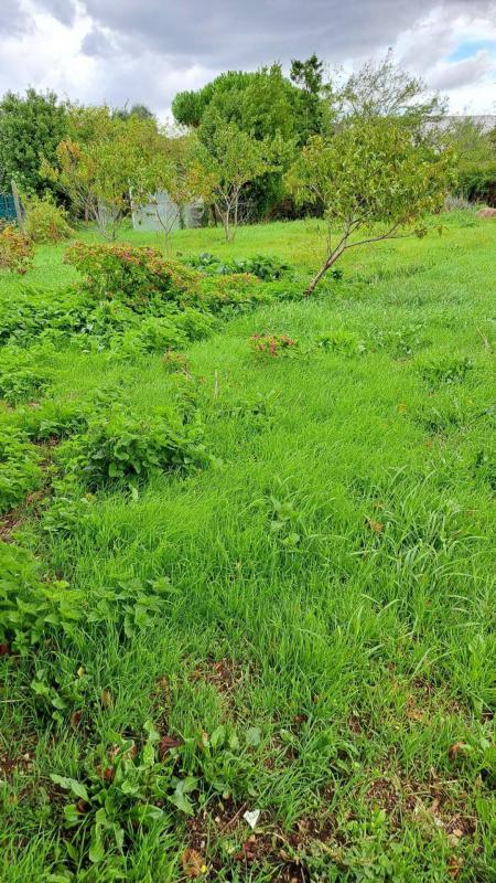 Terrain constructible - 661 m²