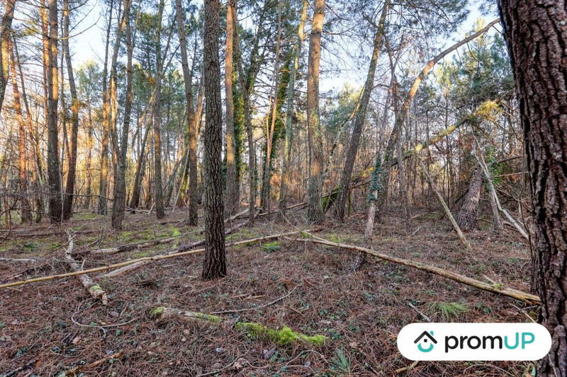 Terrain de loisirs - 1 595 m²