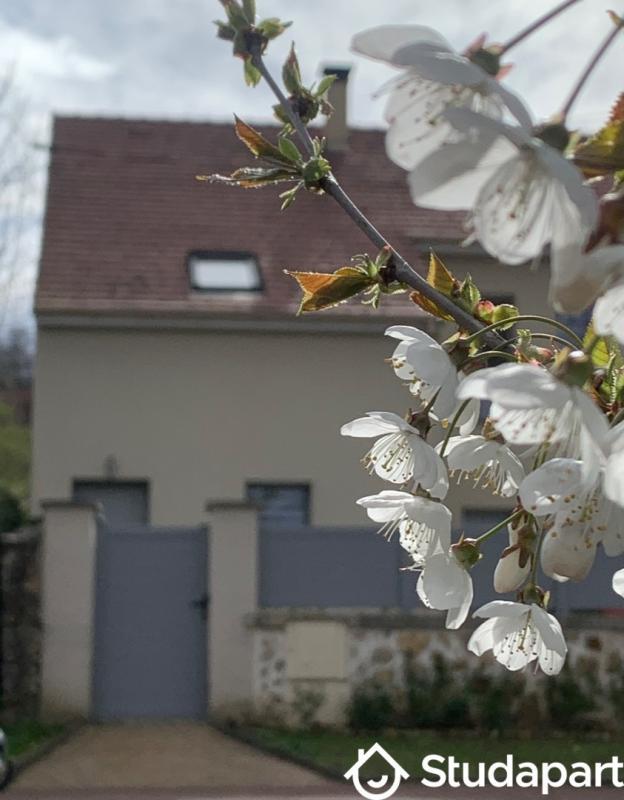 Appartement - 12 m² - 1 pièce