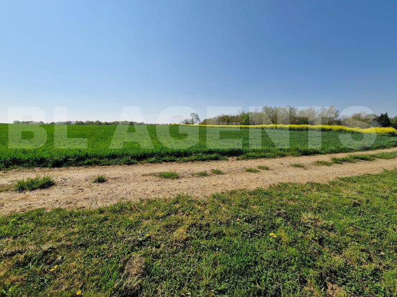 Maison en pierre - 182 m² - 9 pièces