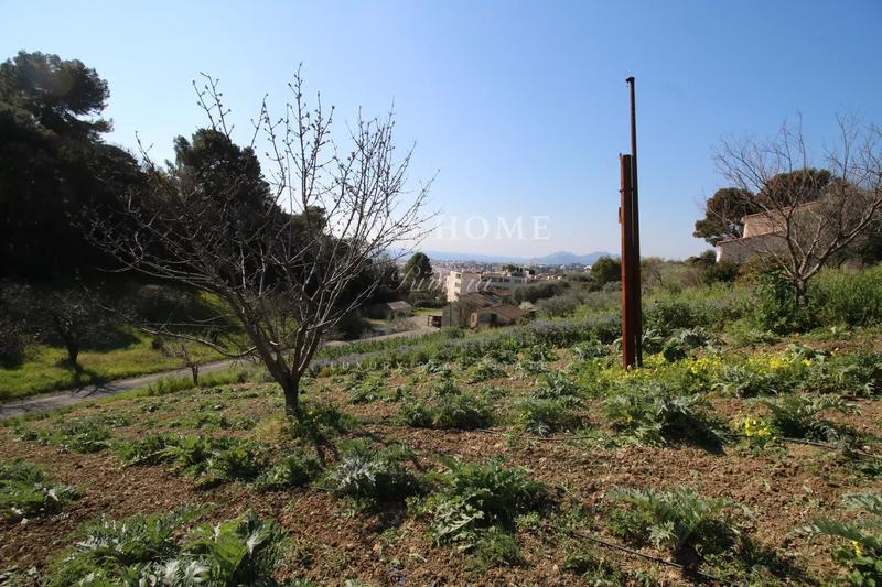Terrain - 1 550 m²